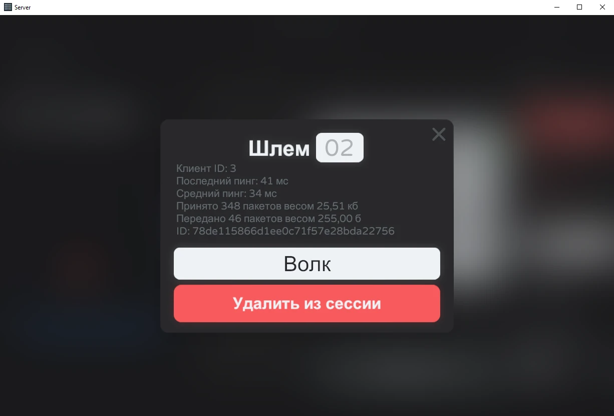 Окно с подробностями об игроке в серверном приложении